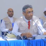 Commonwealth Observer Group commends Gabon's peaceful polls, calls for increased civic participation