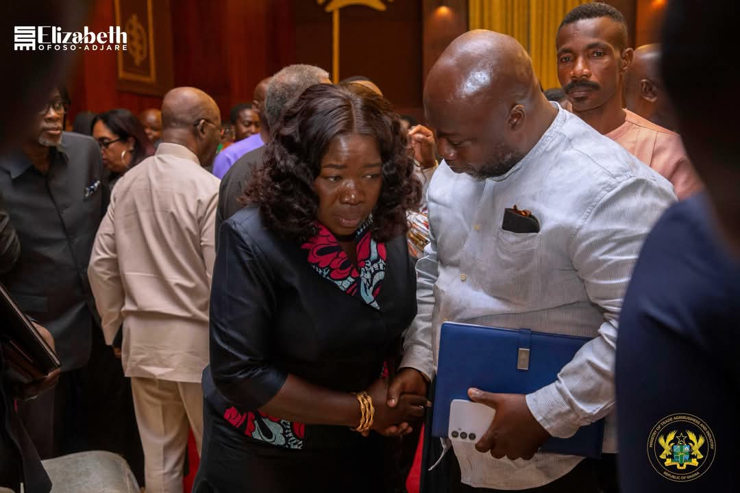 Minister for Trade, Agribusiness, and Industry, Elizabeth Ofosu-Adjare, has emphasized that the 24-Hour Economy benefits of businesses operating beyond traditional hours, citing opportunities for job creation, increased productivity, and economic growth.