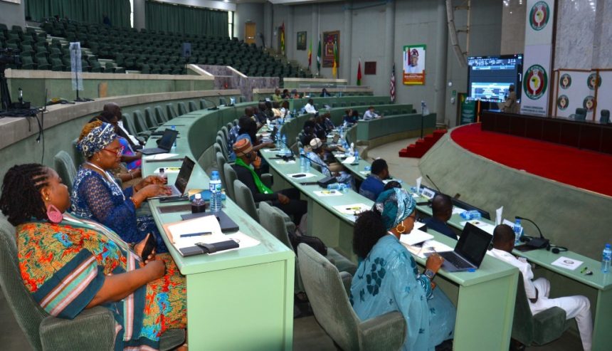 ECOWAS Workshop on Humanitarian Action.
