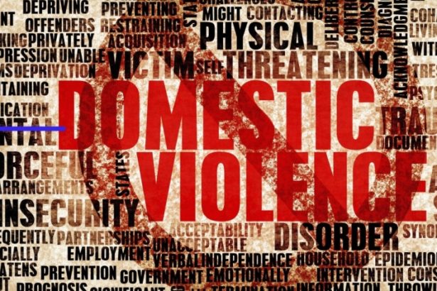 Domestic violence on the increase in Germany.