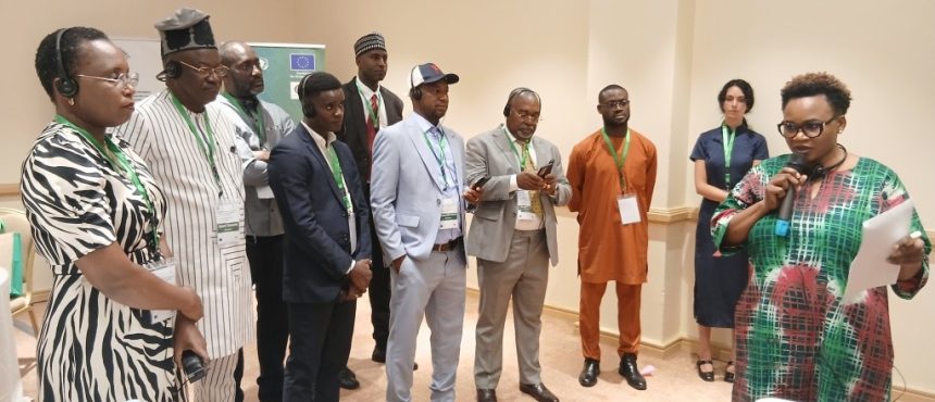 International Institute for Democracy and Electoral Assistance (International IDEA), in partnership with the ECOWAS Network of Electoral Commissions (ECONEC), organised a regional workshop in Abuja, Nigeria, on protecting elections in the information environment.