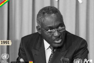 Ambassador Kofi Nyidevu Awoonor.