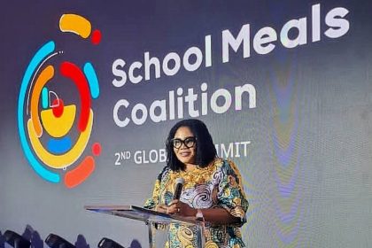 Minister for Gender, Children and Social Protection, Dr. Agnes Naa Momo Lartey.