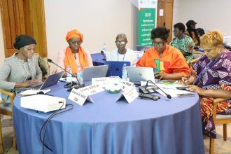 ECOWAS Centre for Gender Development Gender Gap assessments.