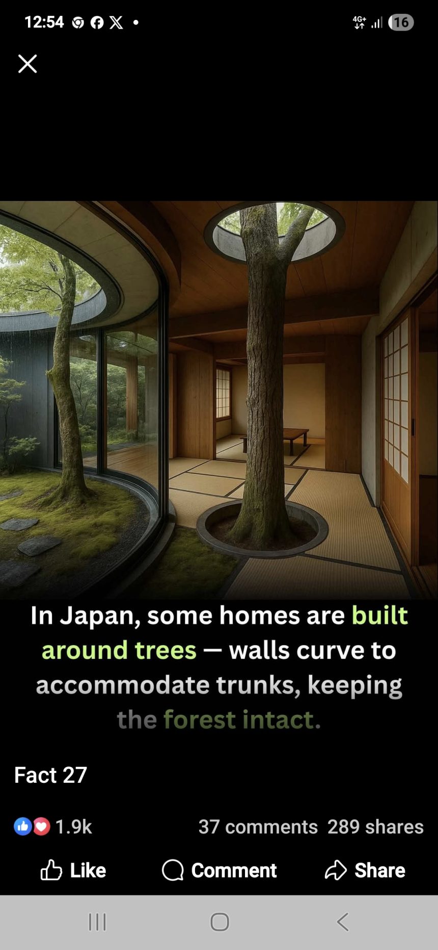 Japan eco architecture on display
