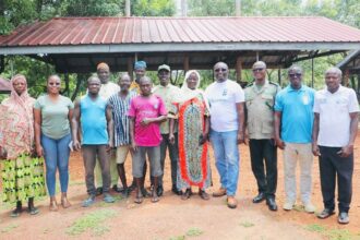 Shea Farmers in Northern Ghana