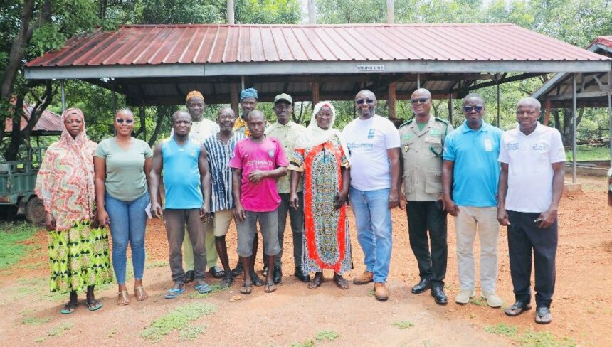 Shea Farmers in Northern Ghana