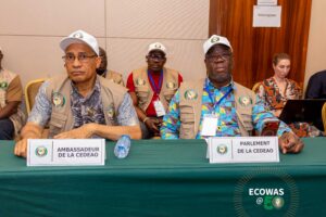 Guinea Presidential elections and observers