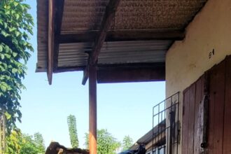 Philanthropist Agbeko Odione Kumordzi with wife Edwina on Agbozume Market Day.