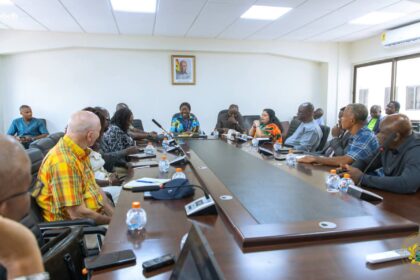 Trade Minster seeks policy input from Ghanaian Agribusiness CEOs