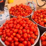 Tomatoes in Navrongo market