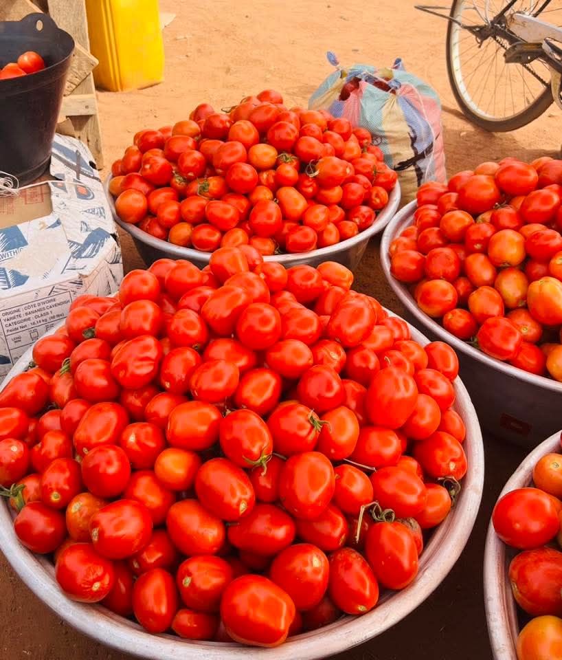 Tomatoes in Navrongo market