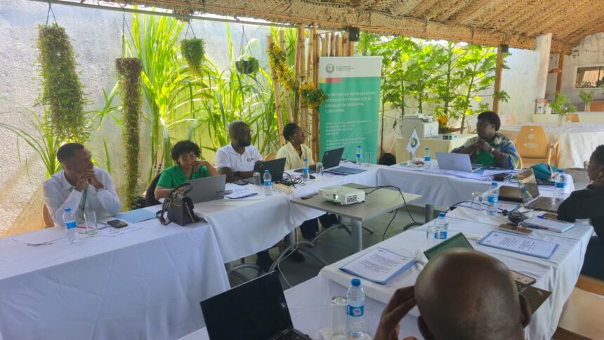 ECOWAS Office in Cabo Verde Strengthens Strategic Alignment and Consolidates Regional Agenda for 2026