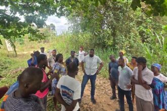 John Dumello meets Ginger Farmers in Oti Region.