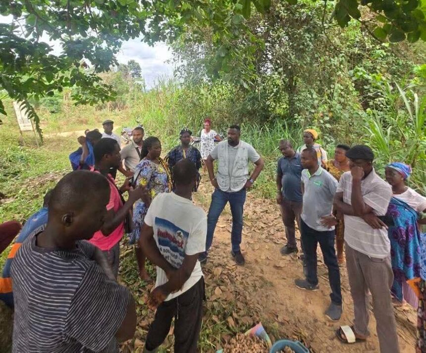 John Dumello meets Ginger Farmers in Oti Region.