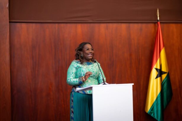 Nana Oye Bampoe Addo, Deputy Chief of Staff, Presidency.