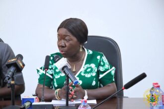 Elizabeth Ofosu Agyare, Trade Minister leads conversation on Trade and Cement delays at Port.