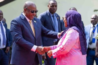 Tanzanian's Samia Suluhu Hassan meets Ghana's John Mahama