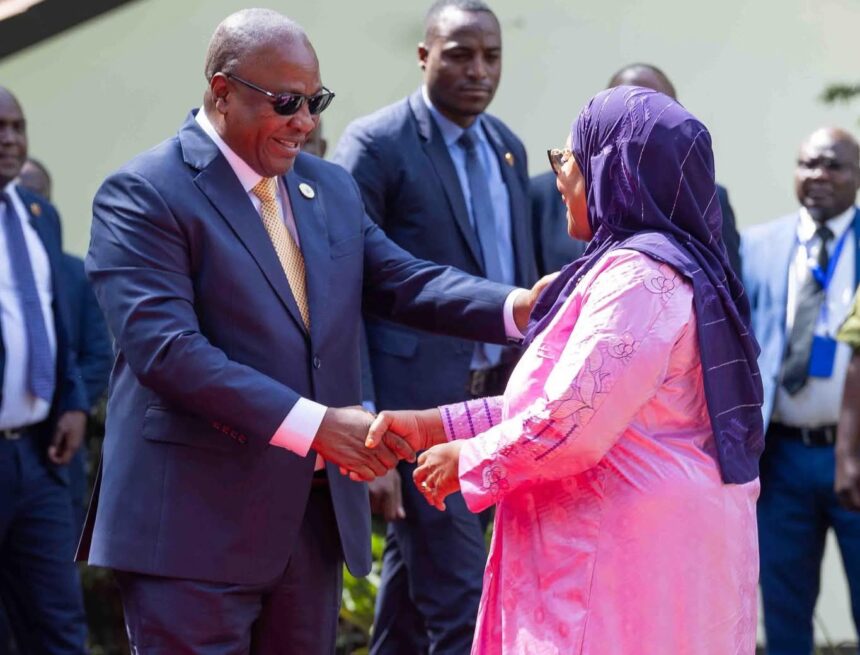 Tanzanian's Samia Suluhu Hassan meets Ghana's John Mahama