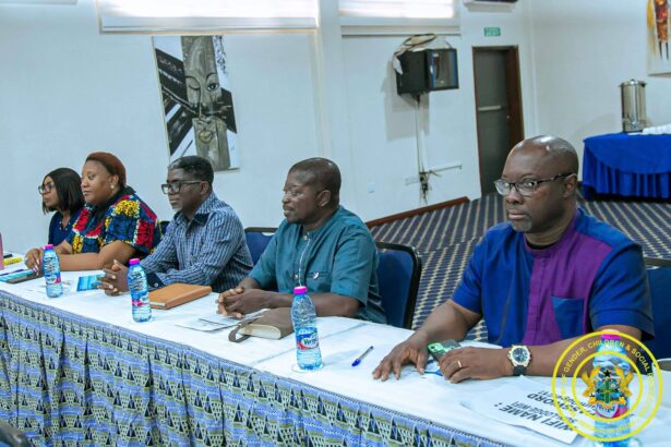 Gender Ministry engages with stakeholders on Social Protection in Ghana/