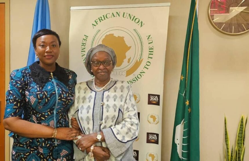 AWLN Bilateral Meetings on Commission on the Status of Women in New York