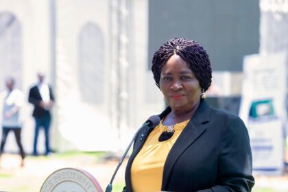 Professor Naana Jane Opoku Agyemang