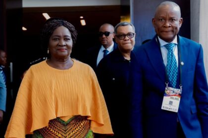 Vice President advocates Shea Butter as value added export for women's empowerment