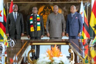 Ghana's Mahama  and Zimbabwe's Mnangagwa reaffirm shared commitment to deepening bilateral relations