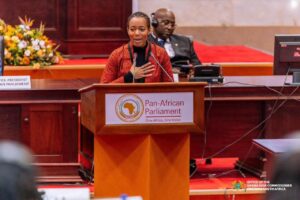 Dr. Zanetor Agyemang-Rawlings.