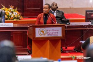 Dr. Zanetor Agyemang-Rawlings.