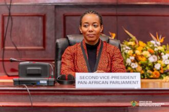 Dr. Zanetor Agyemang-Rawlings.