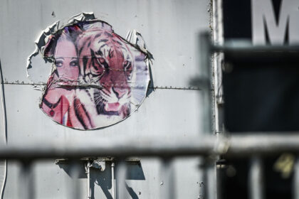 Saxony, Schkeuditz: An old sticker showing a tiger with its trainer is seen on a truck in an industrial park in Schkeuditz. German police have shot dead a tiger that escaped from a private facility near the eastern city of Leipzig on Sunday. Photo: Heiko Rebsch/dpa