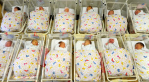 Babies lie in their cribs in the neonatal ward at St. Elisabeth and St. Barbara Hospital in Halle. Photo: Waltraud Grubitzsch/dpa-Zentralbild/dpa