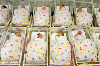 Babies lie in their cribs in the neonatal ward at St. Elisabeth and St. Barbara Hospital in Halle. Photo: Waltraud Grubitzsch/dpa-Zentralbild/dpa