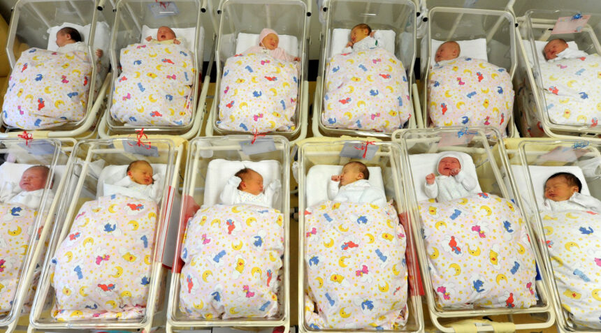 Babies lie in their cribs in the neonatal ward at St. Elisabeth and St. Barbara Hospital in Halle. Photo: Waltraud Grubitzsch/dpa-Zentralbild/dpa