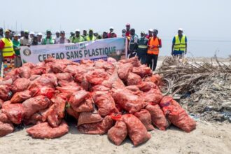 ECOWAS DAY- Say No to Plastics Campaign.