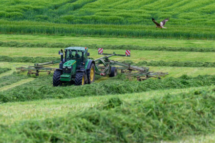 A tractor with a hay tedder is turning cut grass in a field near Jahnsdorf, while a bird of prey is flying over the grassland. Photo: Hendrik Schmidt/dpa