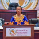 Second Vice President of the Pan-African Parliament (PAP), Hon. Dr. Zanetor Agyeman-Rawlings, MP