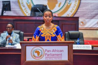 Second Vice President of the Pan-African Parliament (PAP), Hon. Dr. Zanetor Agyeman-Rawlings, MP