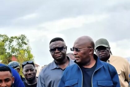 Former Vice President, Dr. Bawumia.
