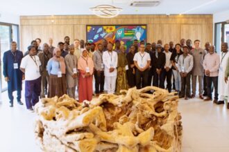 ECOWAS Certified auditor Training