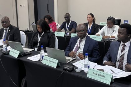 AU, ECOWAS and Regional Bodies Map Out Strategies in Botswana to Advance Youth, Peace and Security in Africa.