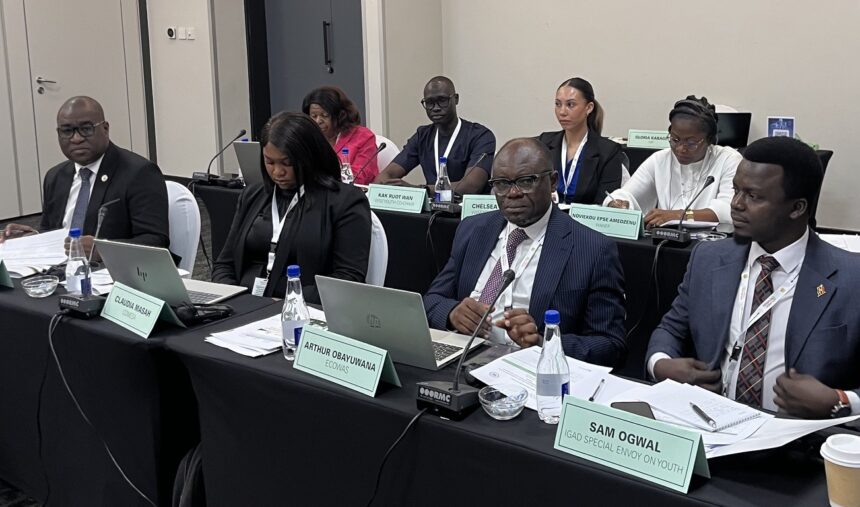 AU, ECOWAS and Regional Bodies Map Out Strategies in Botswana to Advance Youth, Peace and Security in Africa.