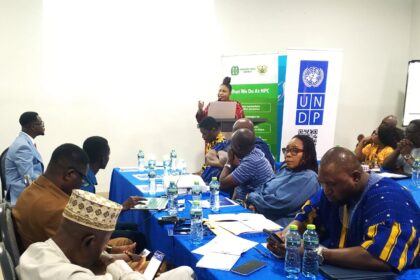 Rebecca Ekpe making a presentation at an Inter-Party Dialogue.
