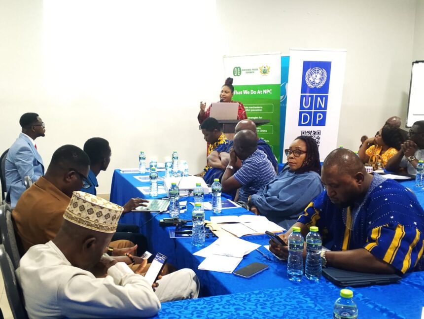 Rebecca Ekpe making a presentation at an Inter-Party Dialogue.