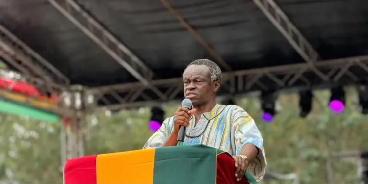 Pan-Africanist Professor P.L.O. Lumumba