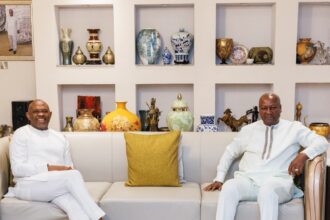 Nigerian businessman, investor and philanthropist Tony O. Elumelu visits President John Dramani Mahama, at his Accra, Ghana residence.