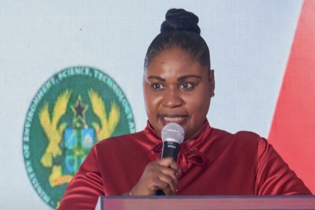 GJA Vice President Rebecca Ekpe speaking at UK MEET Event in Accra.